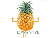 Pineapple Dance GIF