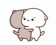 Peach Cat Hug GIF